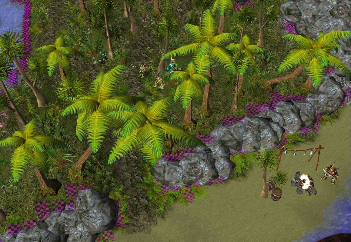Tropical Haven