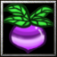 Turnip again hahaha