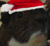 Updated and animated an avatar picture for the Christmas season.