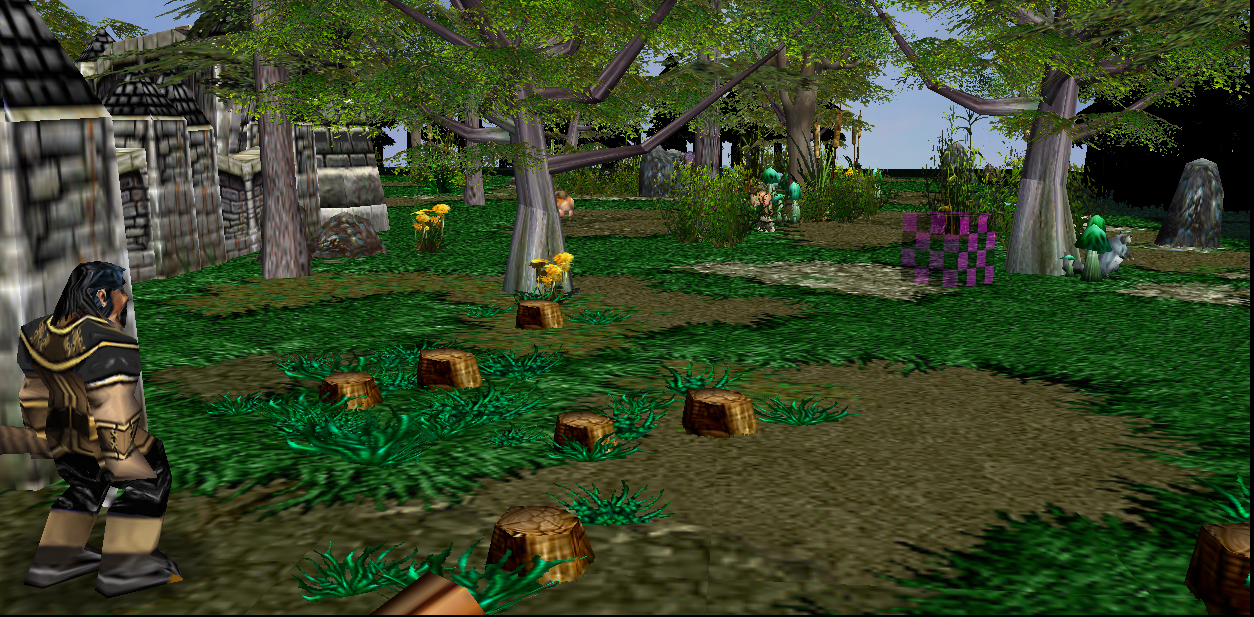 Village outskirts.
Logging area