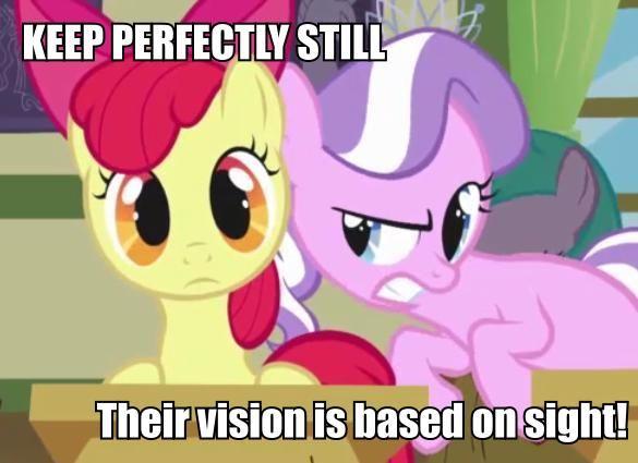 vision based on sight
