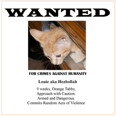WANTED