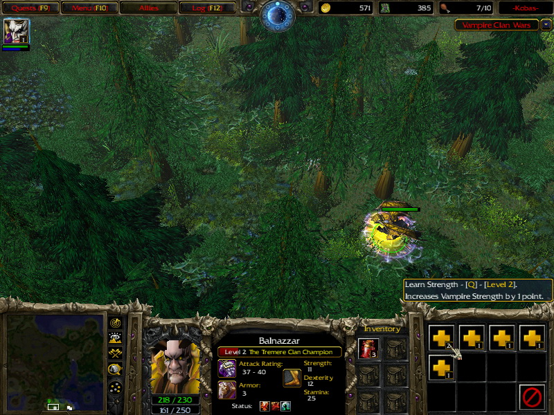 WC3ScrnShot 032610 202252 03