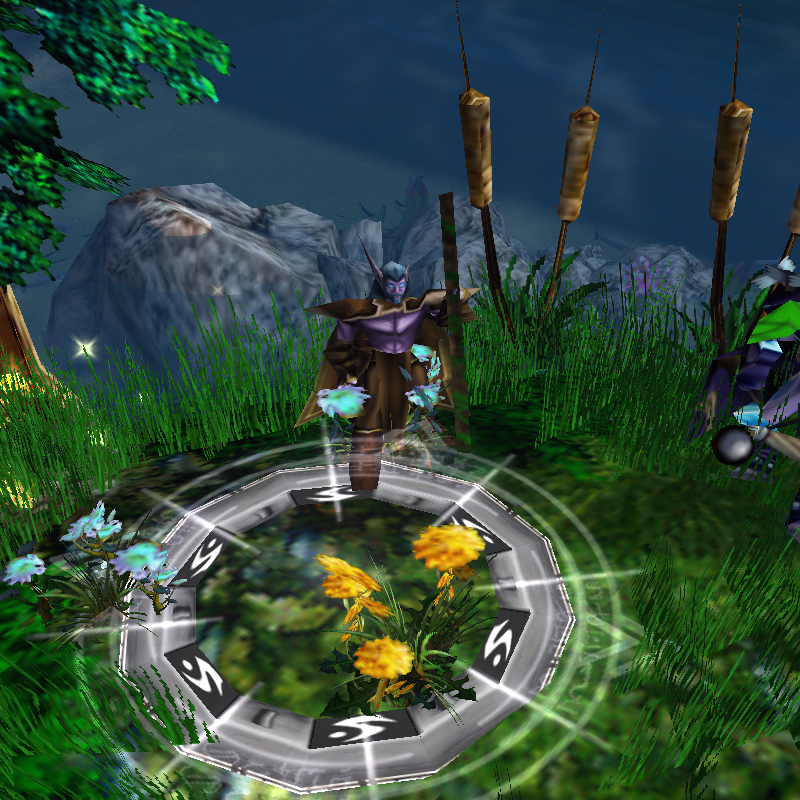 WC3ScrnShot 091910 114149 04