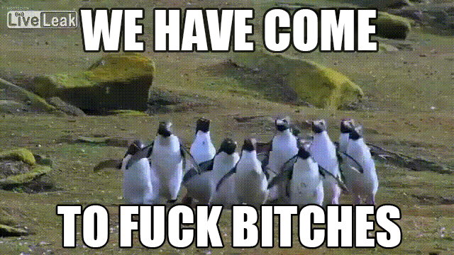 We have come to fuck bitches.