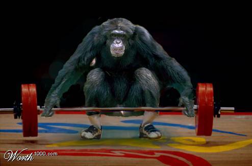 weightliftingchimpsf2