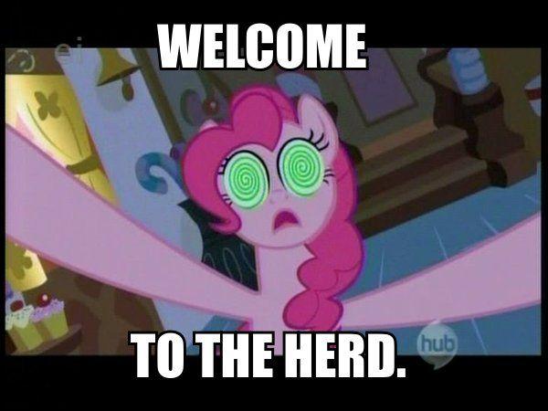 welcome to the herd