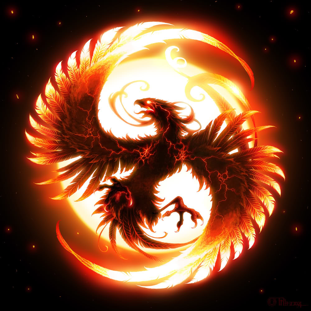 well uhm it's a Phoenix.
