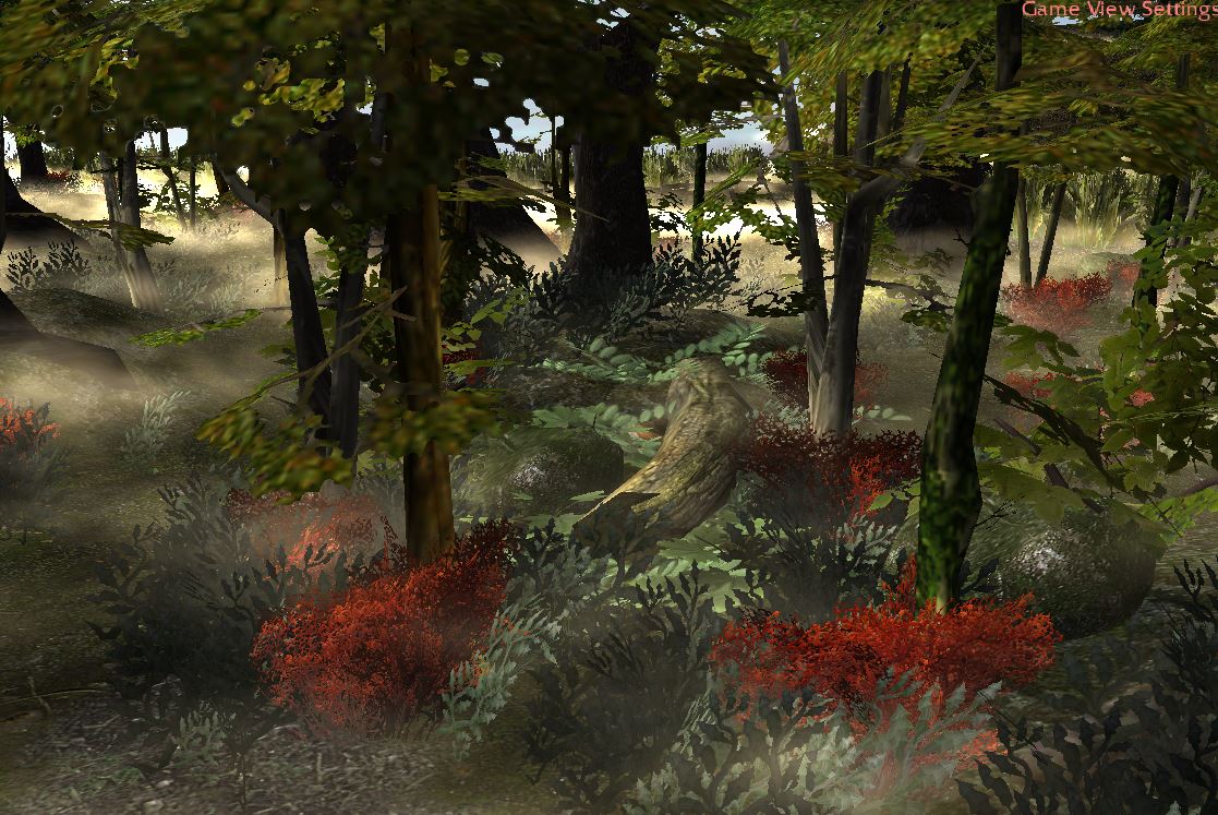 Western Forest near a swamp. 
Up to date.