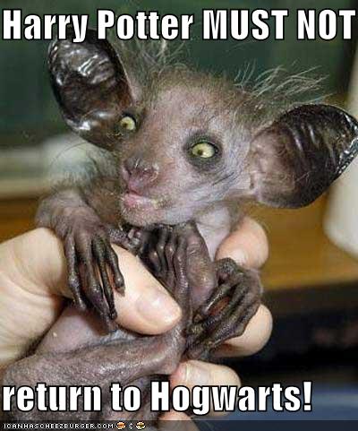What have happend to you Dobby?