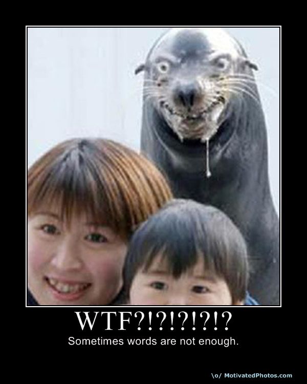 What the...