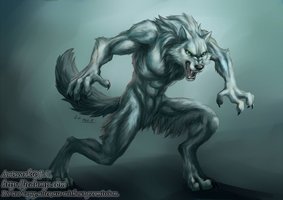 white werewolf by j c d5cy4br