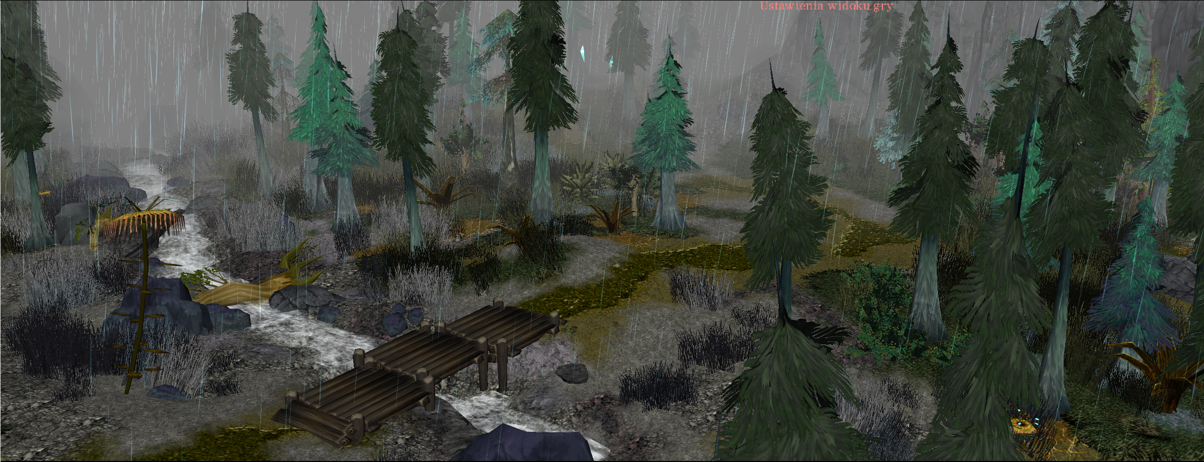 Wilderness