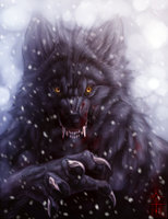 winter werewolf by anuwolf d34g6lv