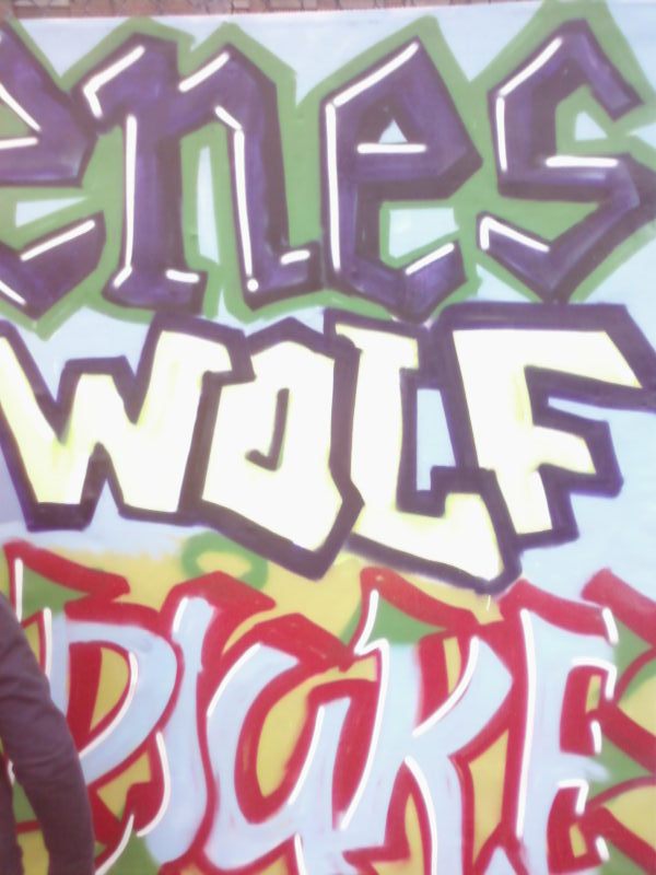 wolf <3
the only piece i hafe on foto