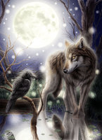 wolf  crow by sheltiewolf d15nrky
