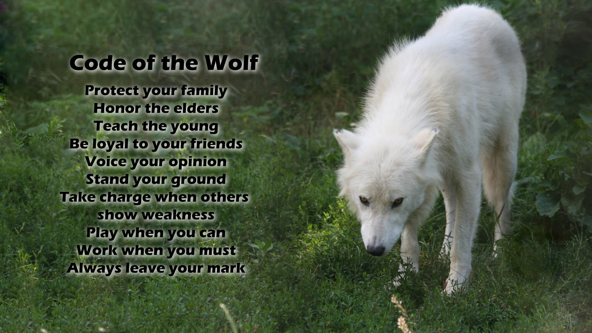 Wolf love <3