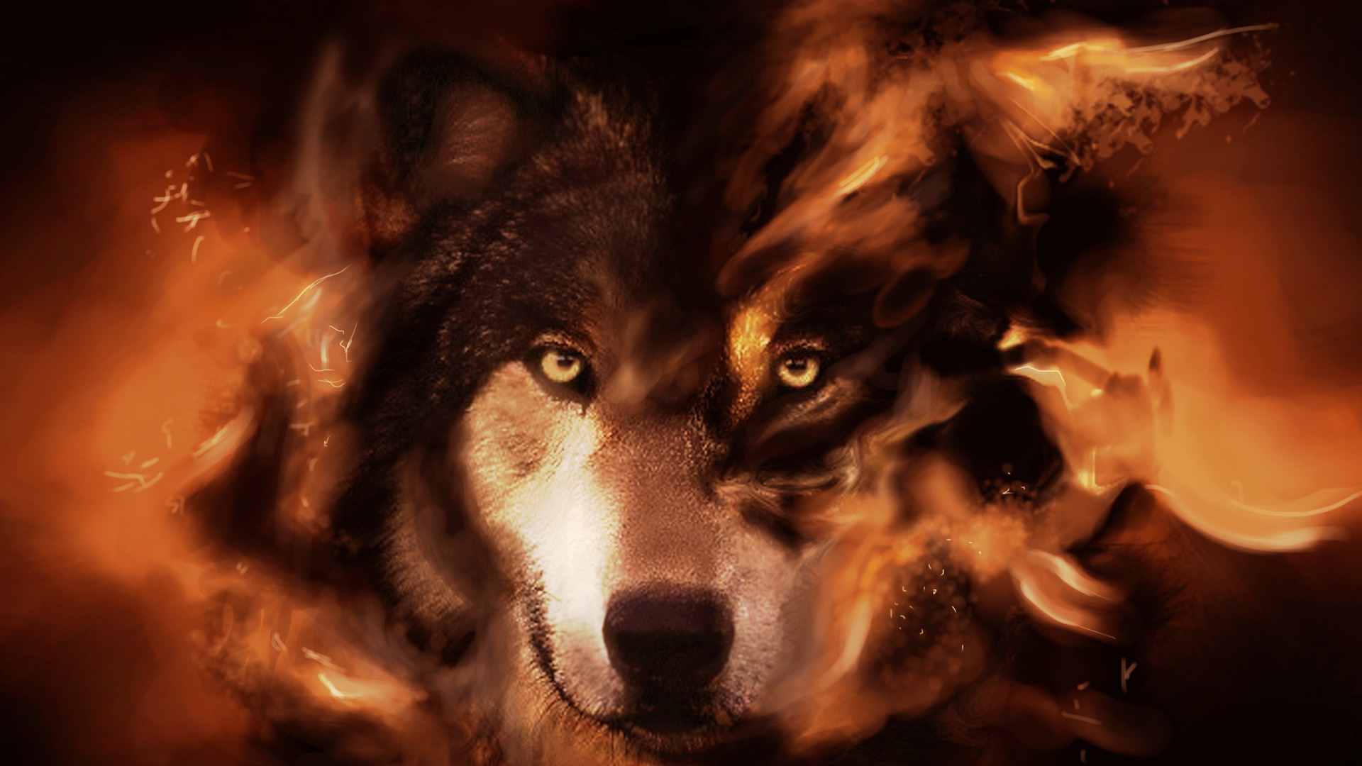 wolf wallpaper 372 cool pictures backgrounds