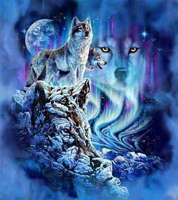 wolf world