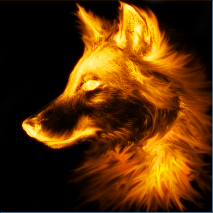 Wolf