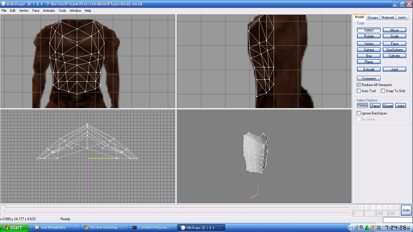 Working Body