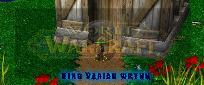World of Warcraft Picture 5