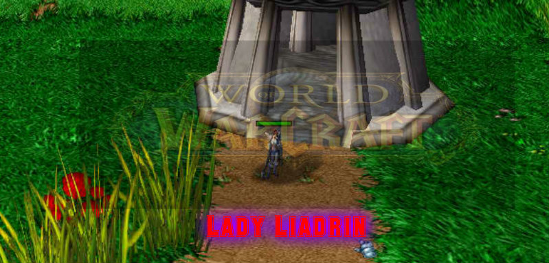 World of Warcraft picture 8