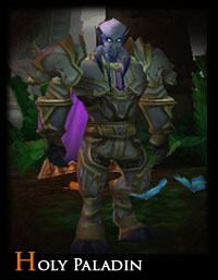 WoW: Battleground - Characters - Holy Paladin