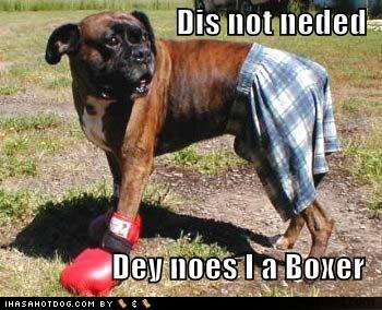 Yeah, it's a "boxer" :P