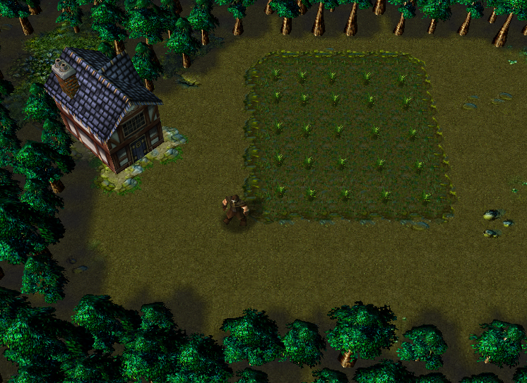 You, the fields and your house