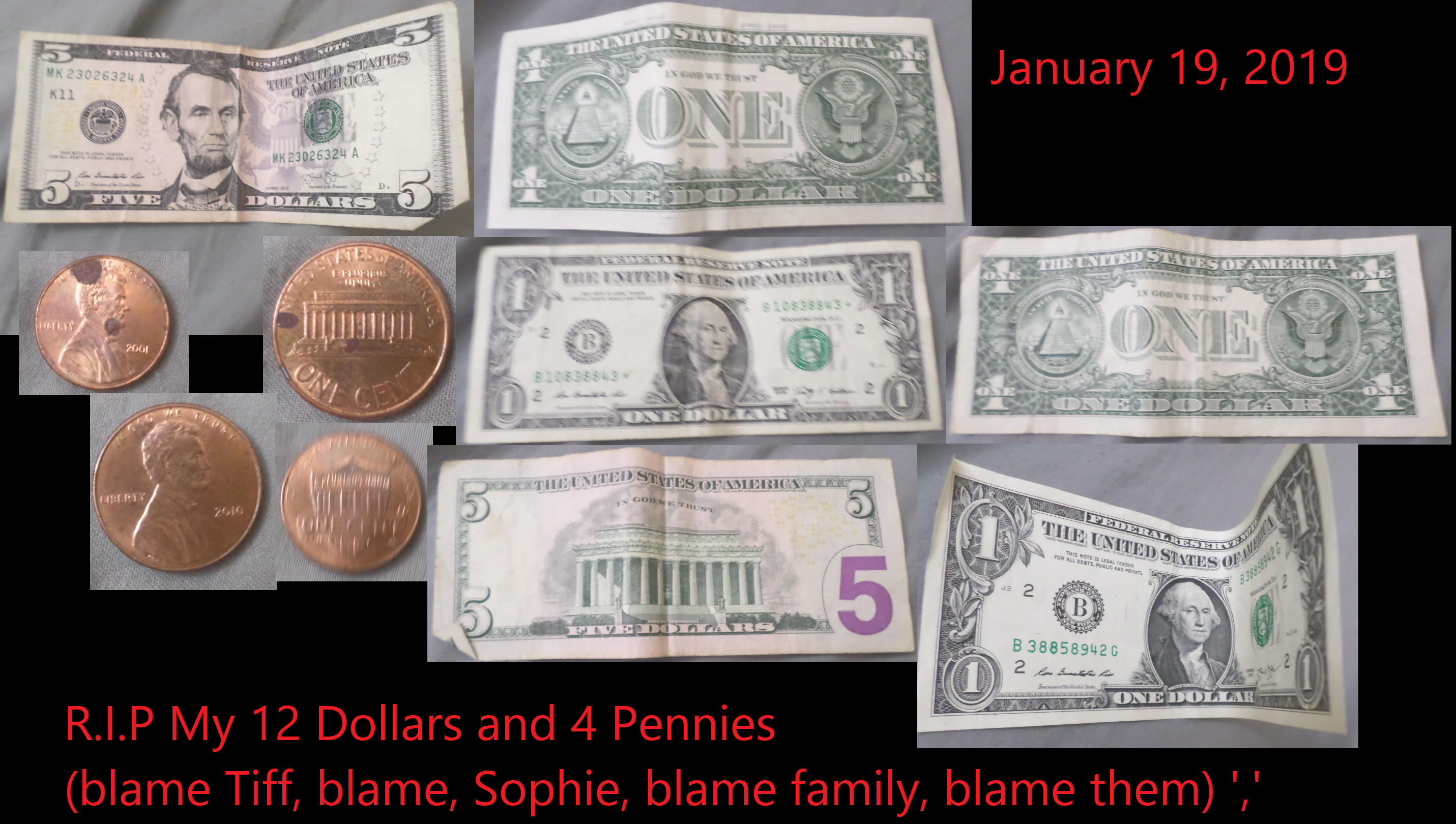 you will be remembered and missed 12 dollar bills and 4 pennies (Jan 19, 2019) (Media Version)