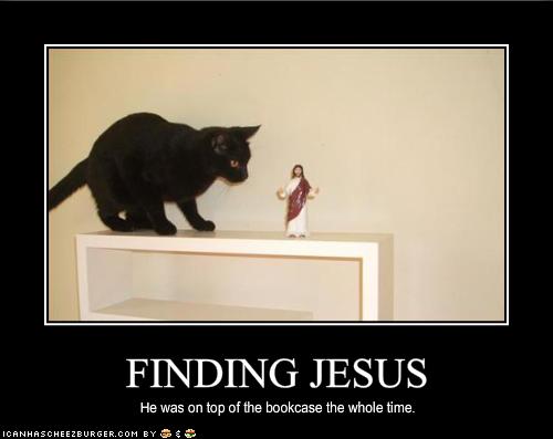 your cat has found jesus