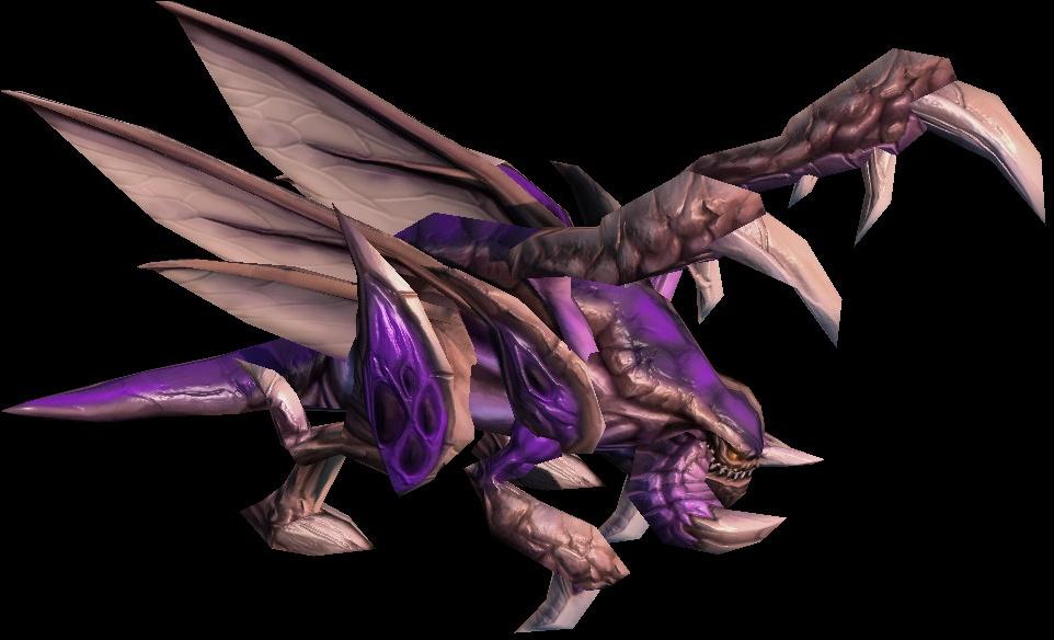 Zerglingnc3