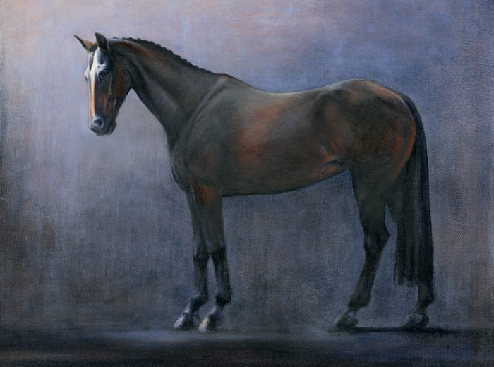 ZJ DarkHorse lg