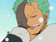 zoro facepalm