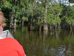 louisiana_voices02_swamp_tour_a02.jpg