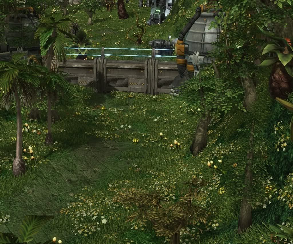 SC-Valley2.jpg