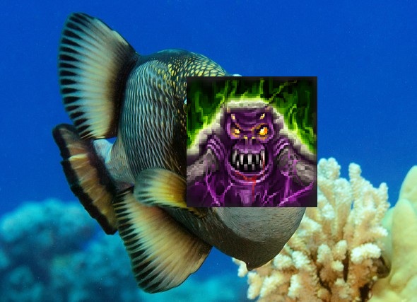 fish.jpg