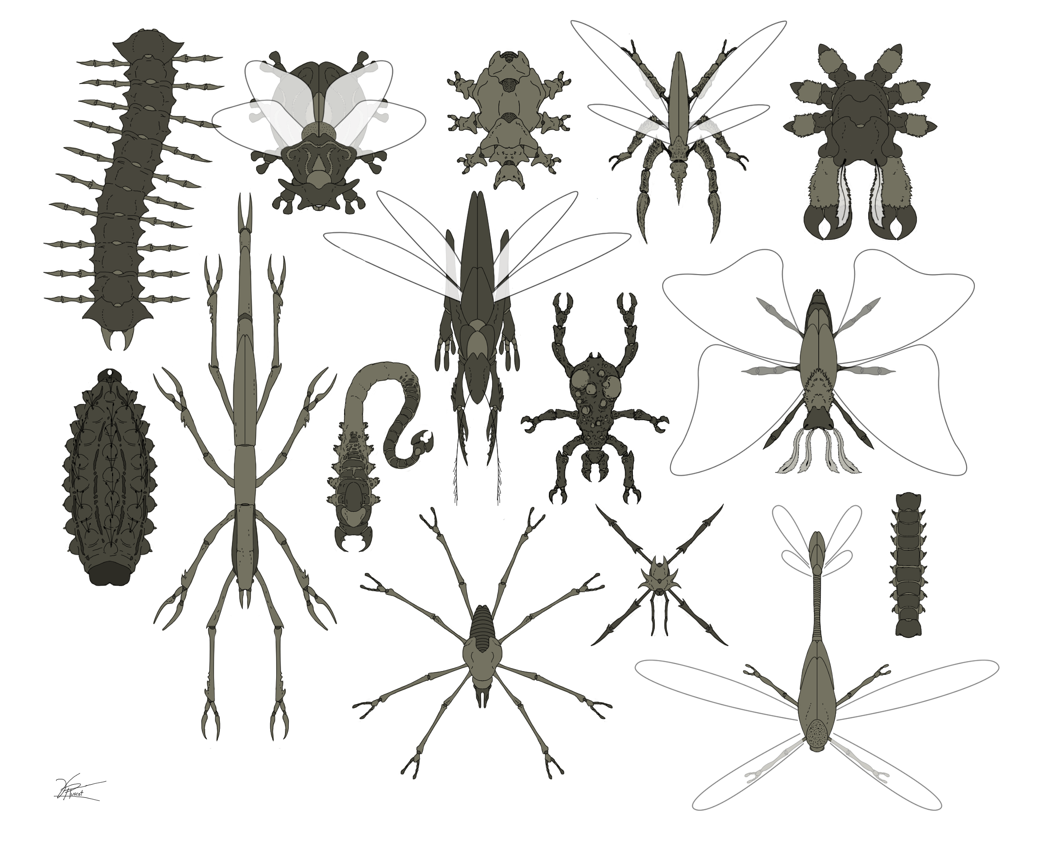 insect_concepts_by_mr_goblin-d4p2fl3.png