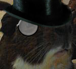 131841-albums1057-picture65048.png