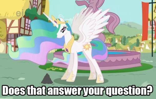 tumblr_ln3dsw9I6Q1qkio9oo1_500.jpg