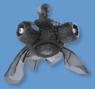 BUFBlackMoor.gif