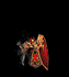 warcraft0630.gif
