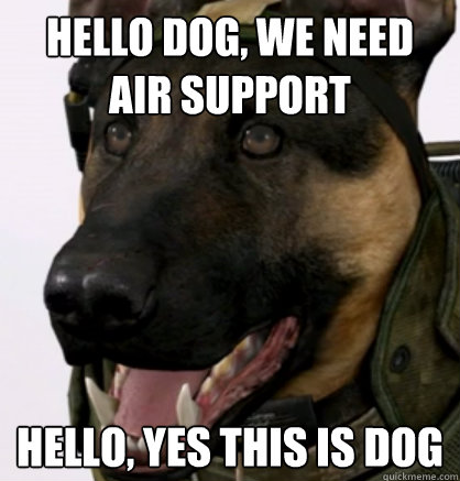ITSADOG.png