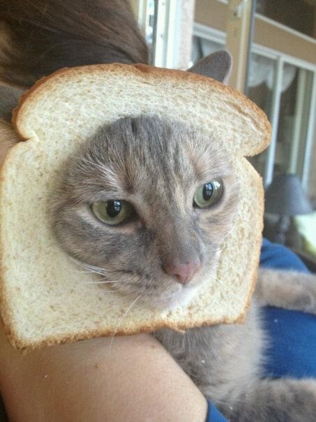 tumblr_mbjxtiiwHn1roe4b7o1_500.jpg