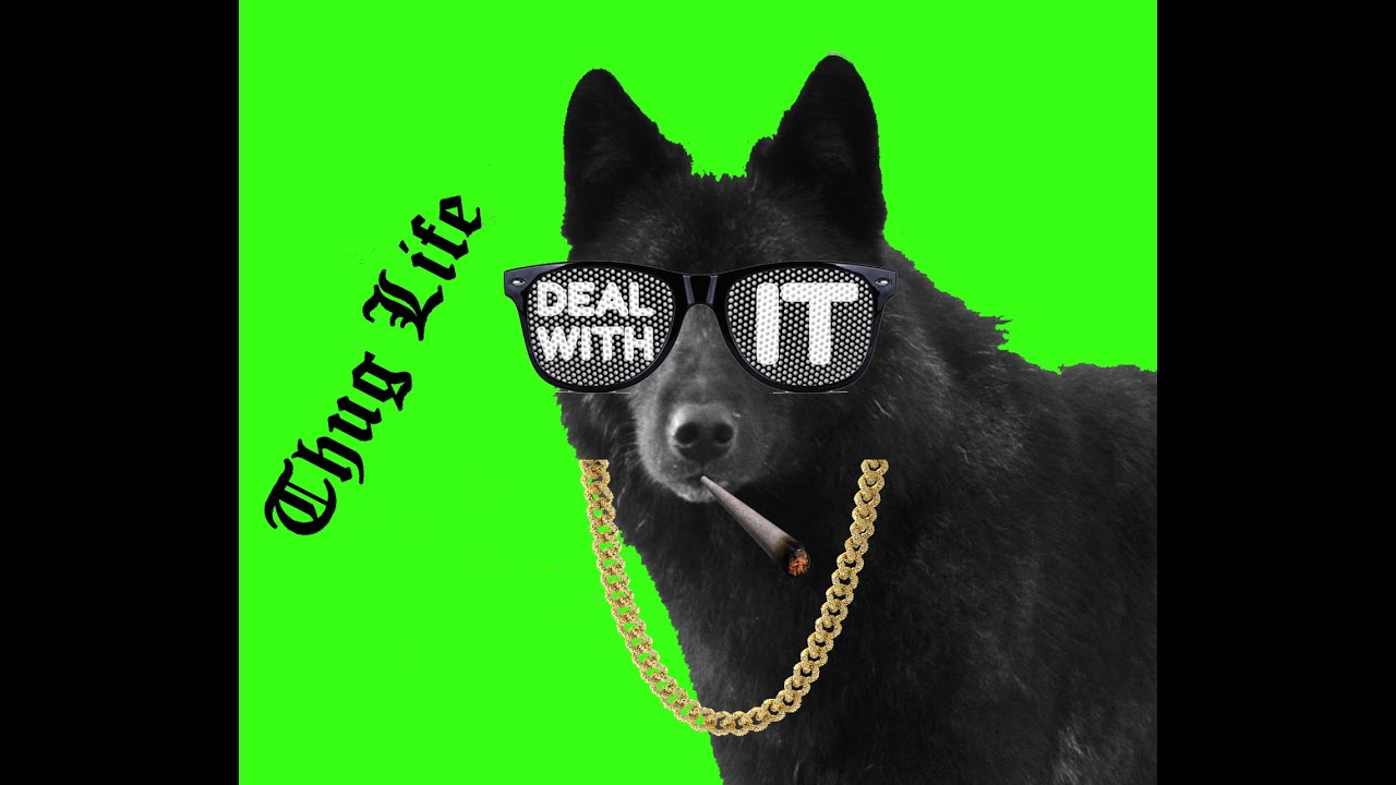 maxresdefault.jpg