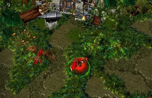 ddtmap2.jpg