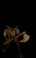 216177-albums5644-picture60124.gif