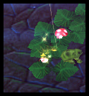 qZCP0v6.png