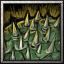 BTNDragonProtrudition-1.jpg